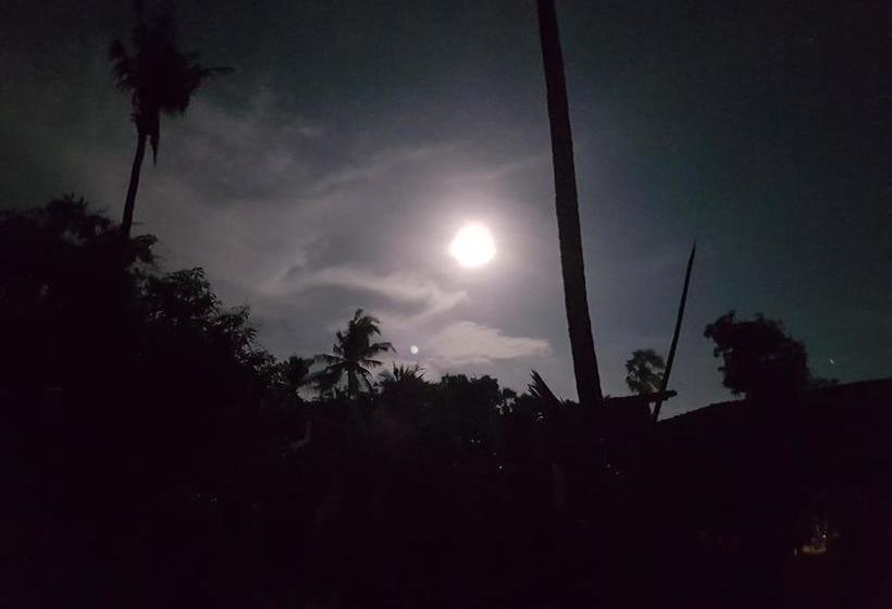 Pebble & Fins Bali Dive Resort