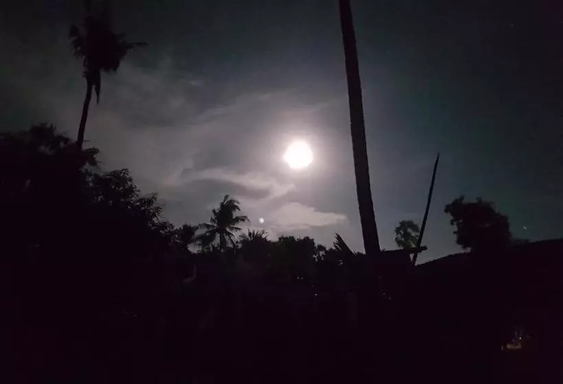 Pebble & Fins Bali Dive Resort