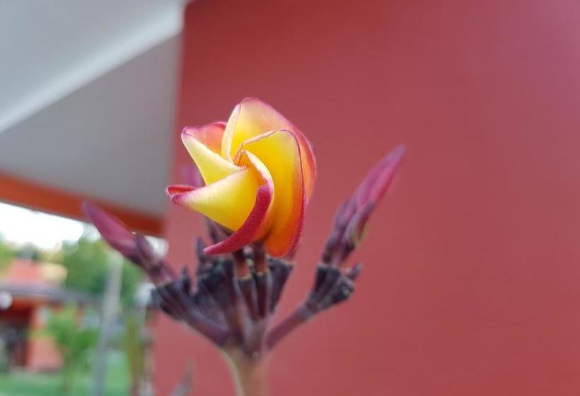 Pebble & Fins Bali Dive Resort