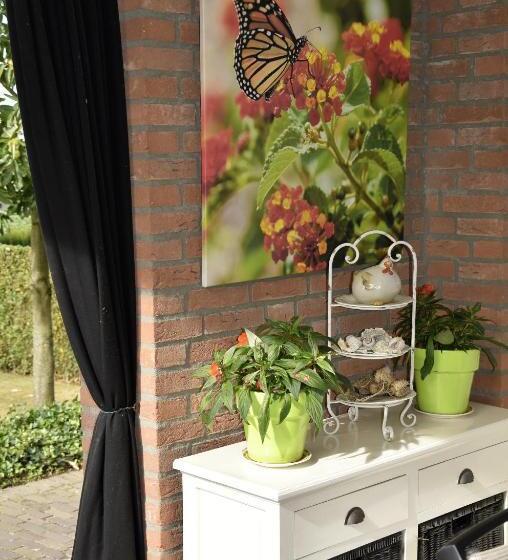 B&b De Rozenhorst