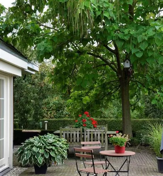 B&b De Rozenhorst