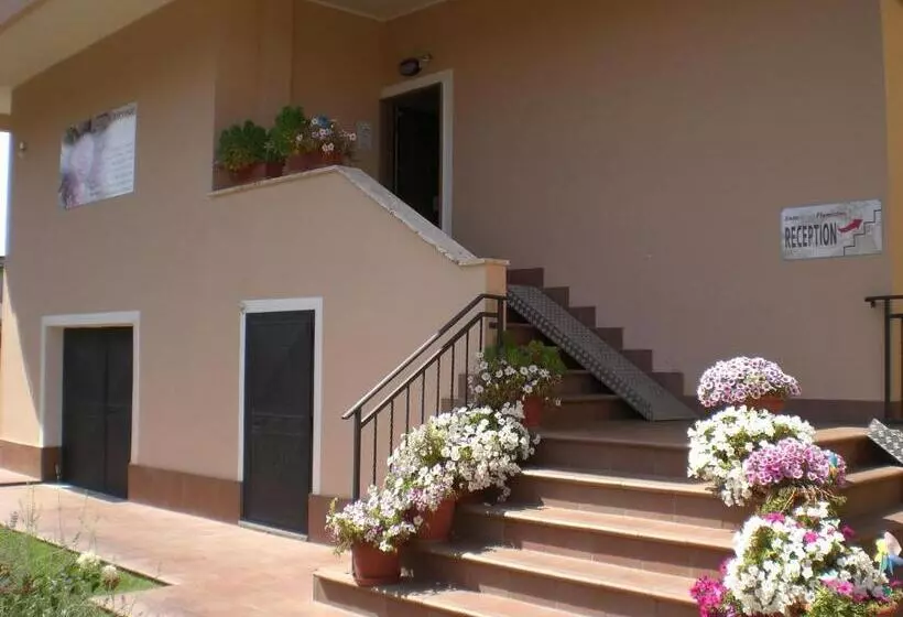 Aamiaismajoitus (B&B) Orchidea House Fiumicino One