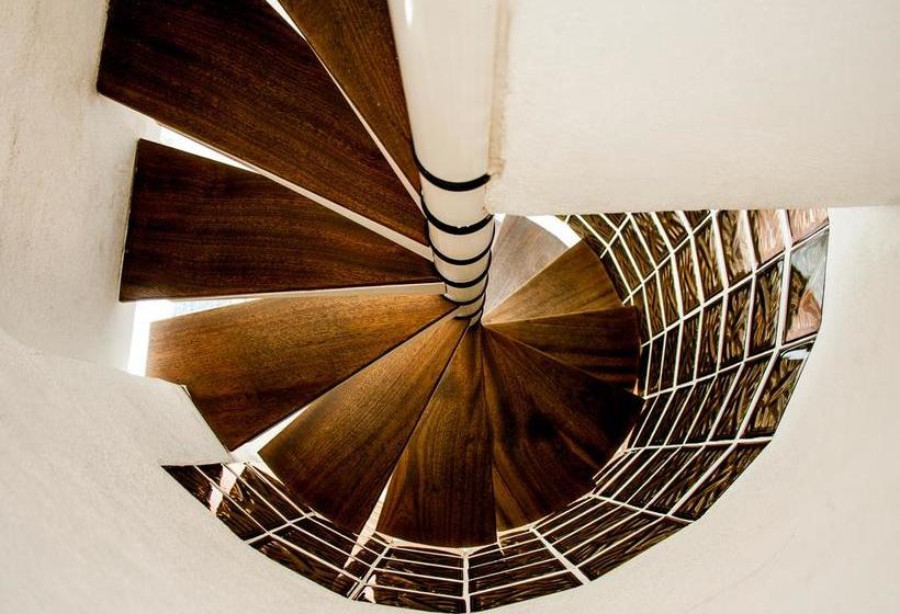 בית מלון כפרי B Lodge