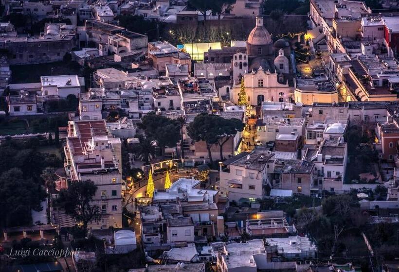 هتل Fortino B&b Capri