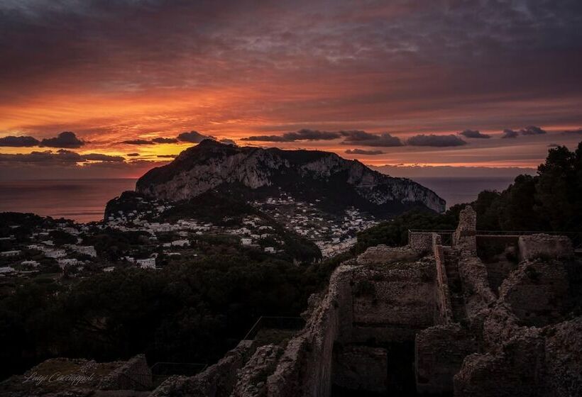 هتل Fortino B&b Capri