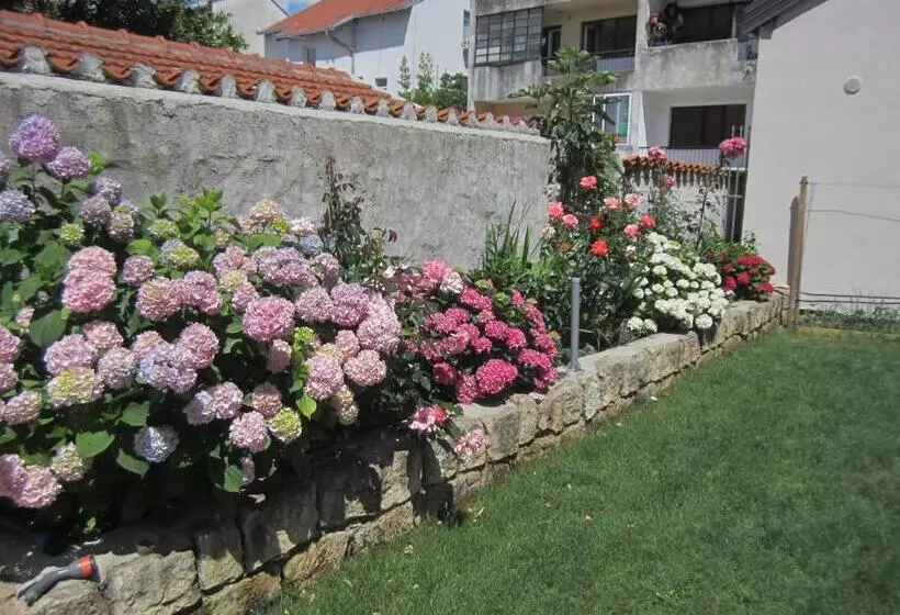تختخواب و صبحانه Aurelia Rooms