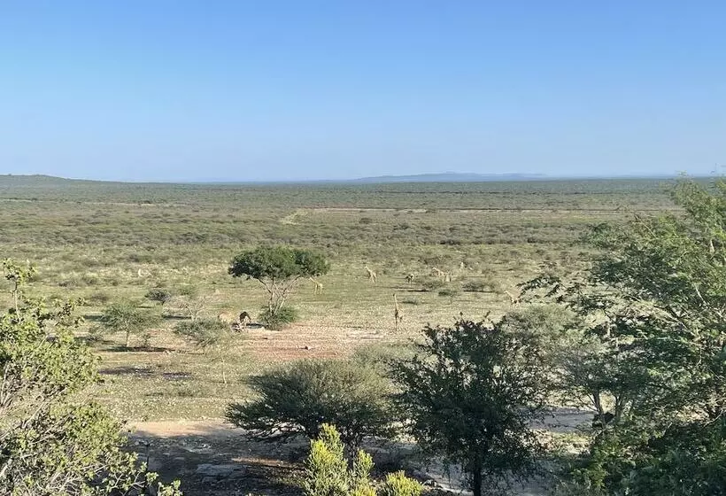 هتل Aloegrove Safari Lodge
