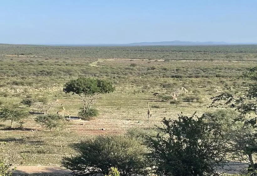 هتل Aloegrove Safari Lodge
