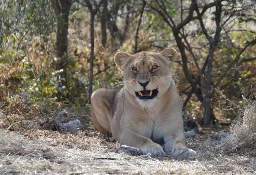 هتل Aloegrove Safari Lodge