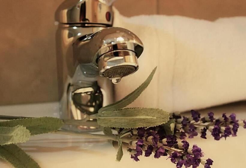 پانسیون Martin