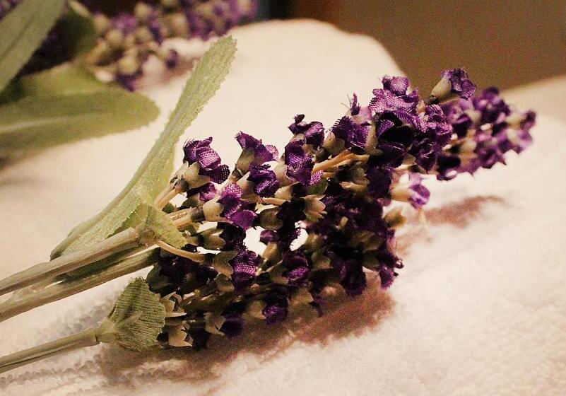 پانسیون Martin