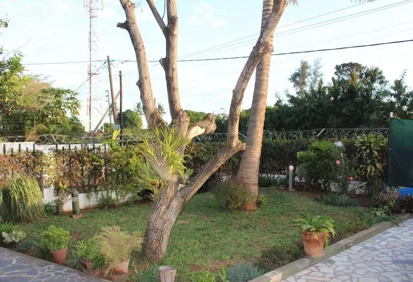 Majatalo Marumadi   Planeta Mocambique