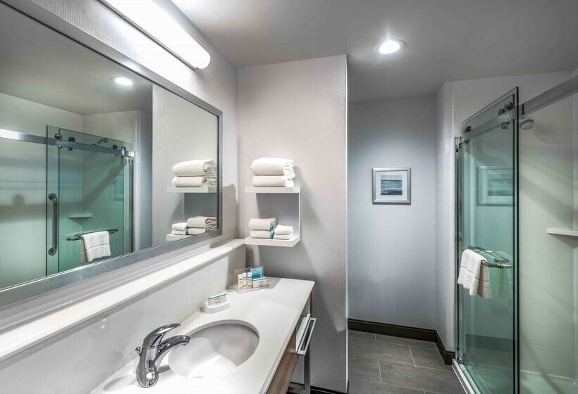 Отель Hampton Inn & Suites Tallahassee Capitol   University