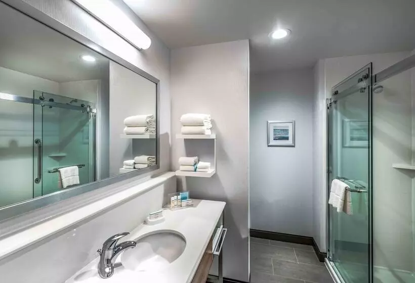 ホテル Hampton Inn & Suites Tallahassee Capitol   University