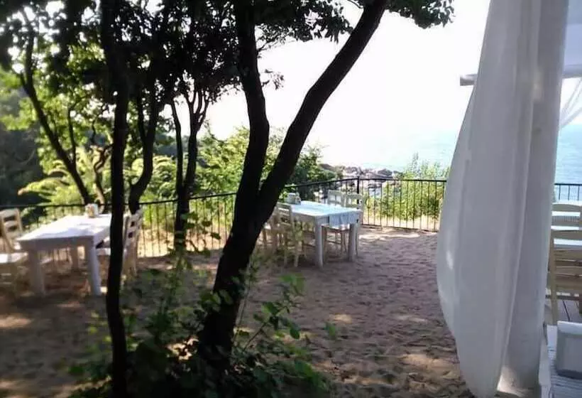 ホテル Paradise Bay