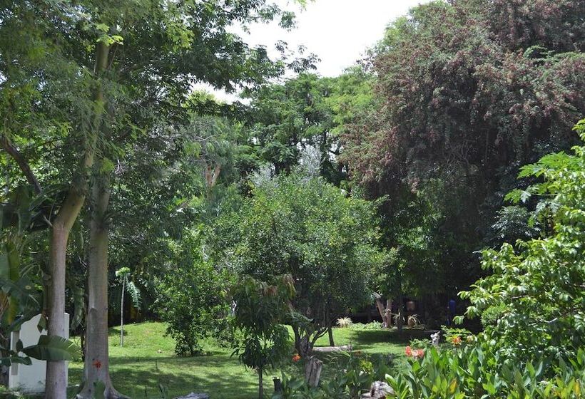 هتل Tambuti Lodge