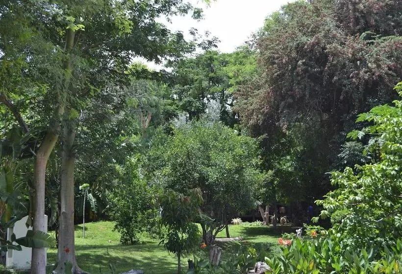 هتل Tambuti Lodge