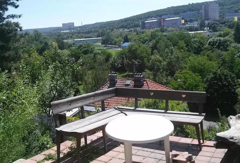 هاستل Branik Garden