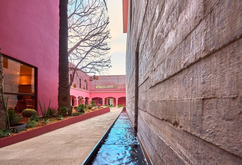 فندق City Centro By Marriott Oaxaca