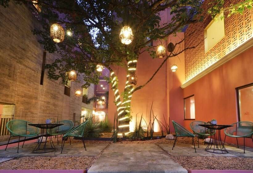 فندق City Centro By Marriott Oaxaca