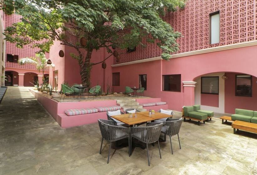 فندق City Centro By Marriott Oaxaca