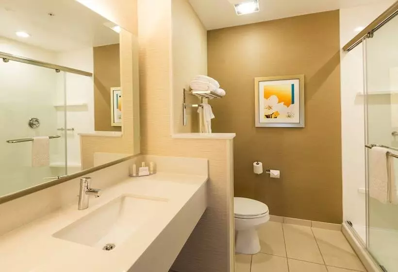 ホテル Fairfield Inn & Suites By Marriott Detroit Chesterfield