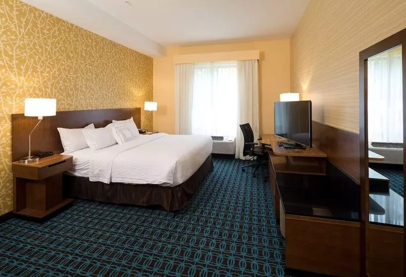 ホテル Fairfield Inn & Suites By Marriott Detroit Chesterfield