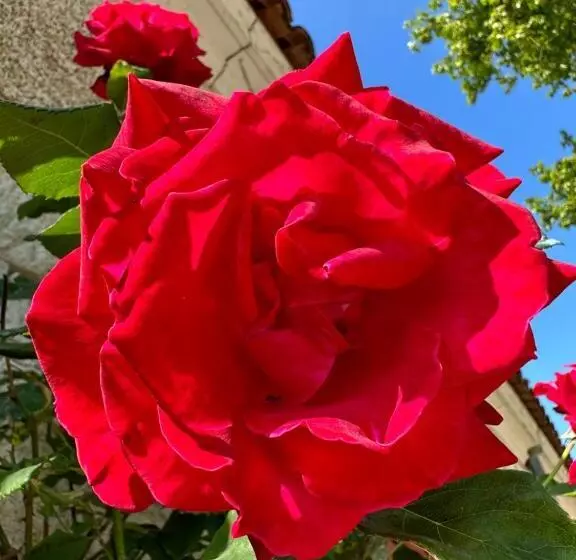 ホテル Hôtel & Spa Château De La Côte   Brantôme