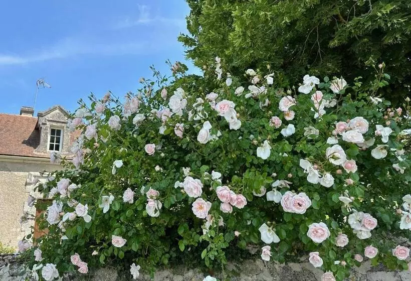 ホテル Hôtel & Spa Château De La Côte   Brantôme