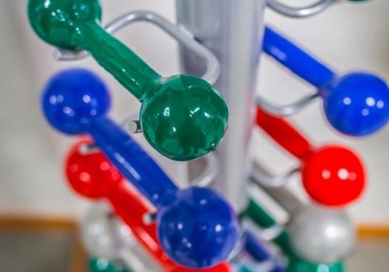 Hotel Samba Tres Rios