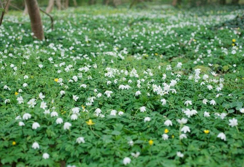 Hotel Schloss Neetzow