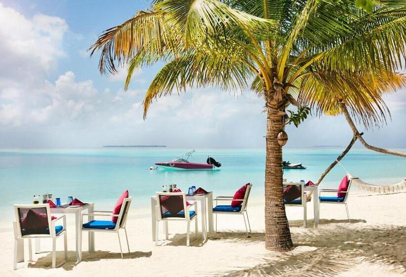 هتل Sun Siyam Vilu Reef 24 Hour All Inclusive With Free Transfers