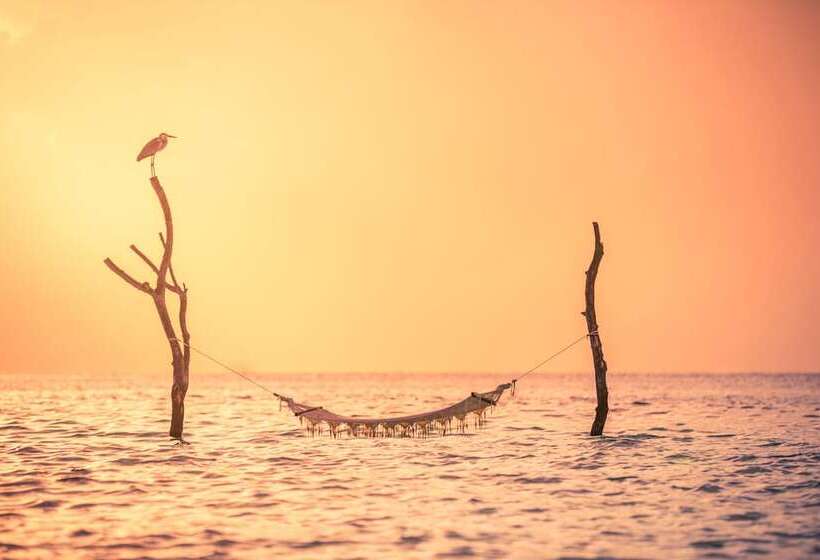 هتل Sun Siyam Vilu Reef 24 Hour All Inclusive With Free Transfers