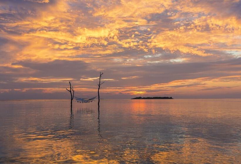 هتل Sun Siyam Vilu Reef 24 Hour All Inclusive With Free Transfers