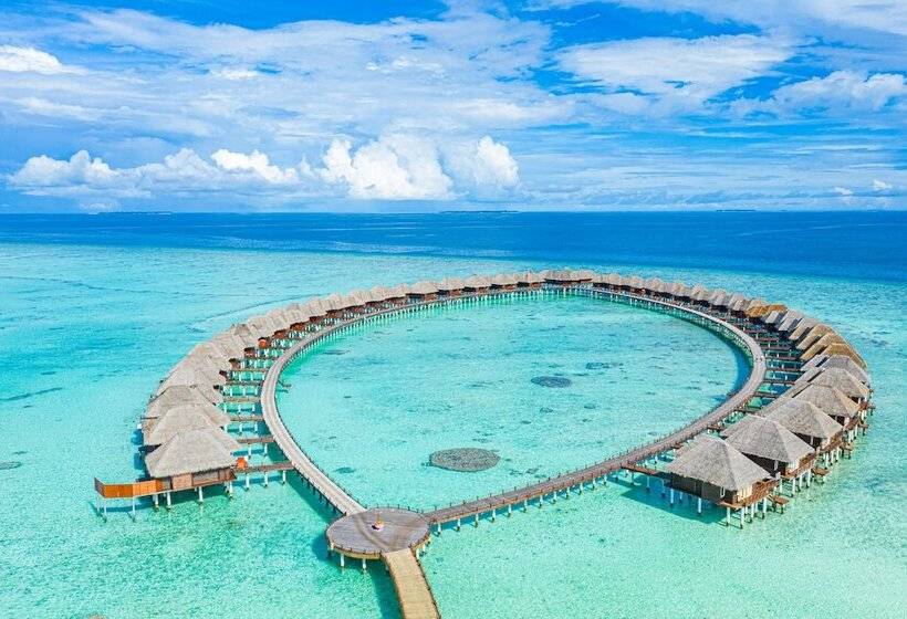 هتل Sun Siyam Vilu Reef 24 Hour All Inclusive With Free Transfers