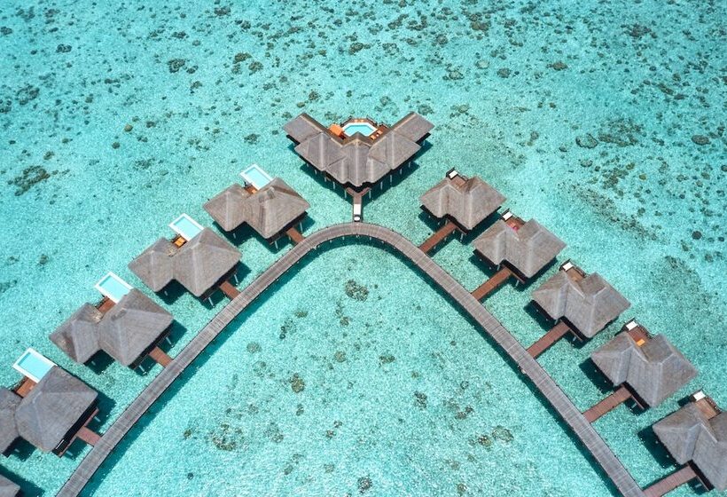 هتل Sun Siyam Vilu Reef 24 Hour All Inclusive With Free Transfers