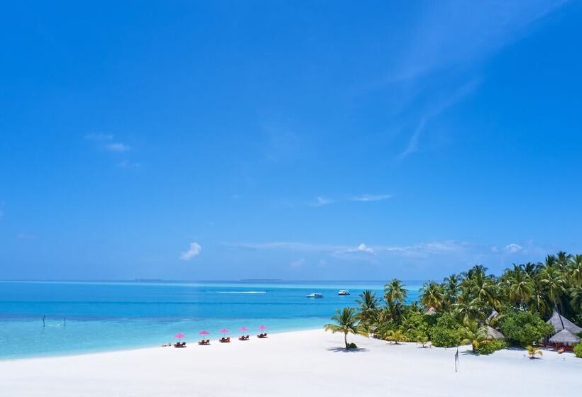 هتل Sun Siyam Vilu Reef 24 Hour All Inclusive With Free Transfers