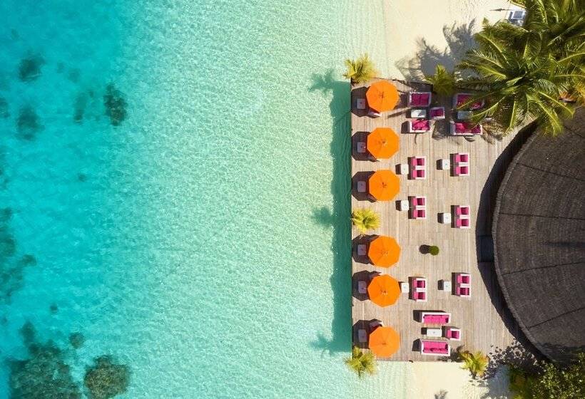 هتل Sun Siyam Vilu Reef 24 Hour All Inclusive With Free Transfers