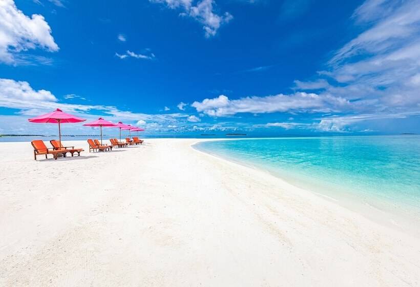 هتل Sun Siyam Vilu Reef 24 Hour All Inclusive With Free Transfers