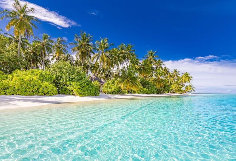 هتل Sun Siyam Vilu Reef 24 Hour All Inclusive With Free Transfers