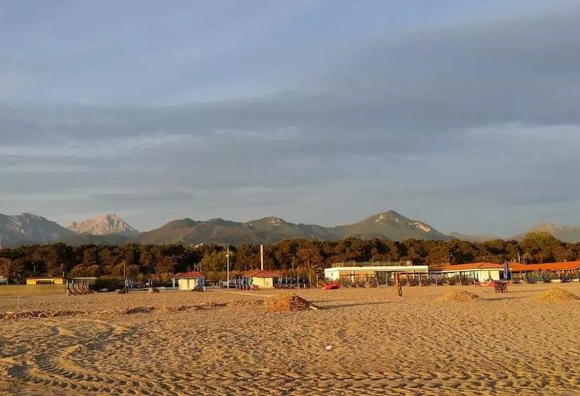 ホテル Villa Flores