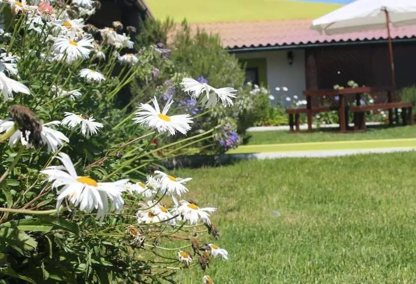 ユースホステル Sawmill Azores