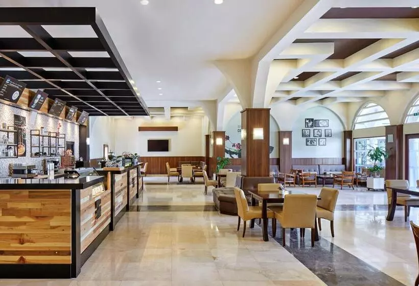 ホテル Ali Bey Park Manavgat   Ultra All Inclusive