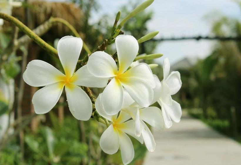 ホテル Asarita Angkor Resort & Spa