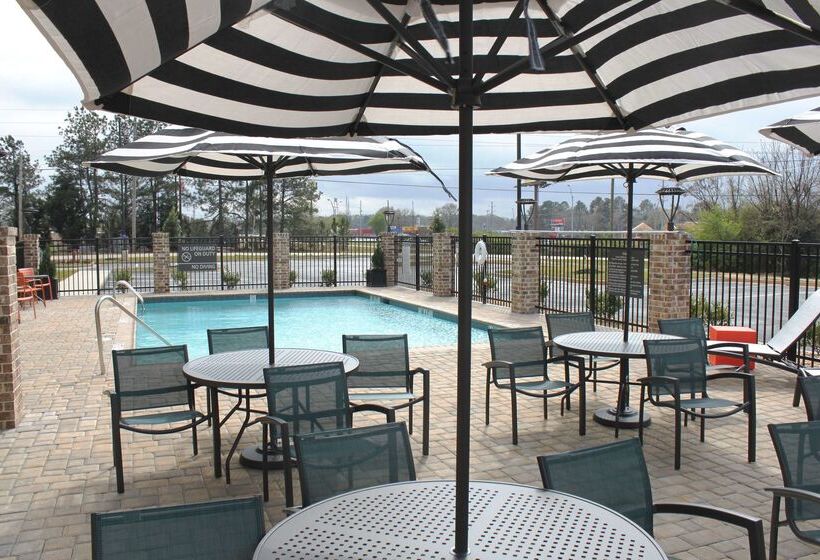 בית מלון כפרי Hampton Inn By Hilton Forsyth