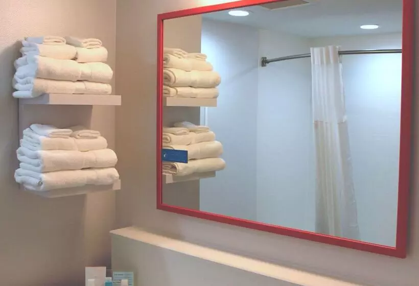 Hotelli Hampton Inn By Hilton Forsyth