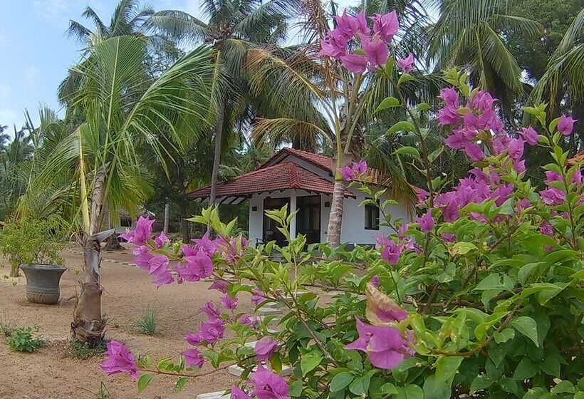 Отель Salt Lake Cabanas & Restaurant