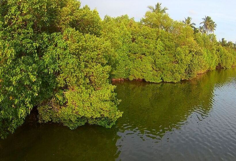 Отель Salt Lake Cabanas & Restaurant