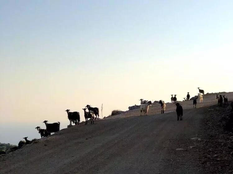 Mourtzanakis Residence   Traditional Eco Hotel In Achlada