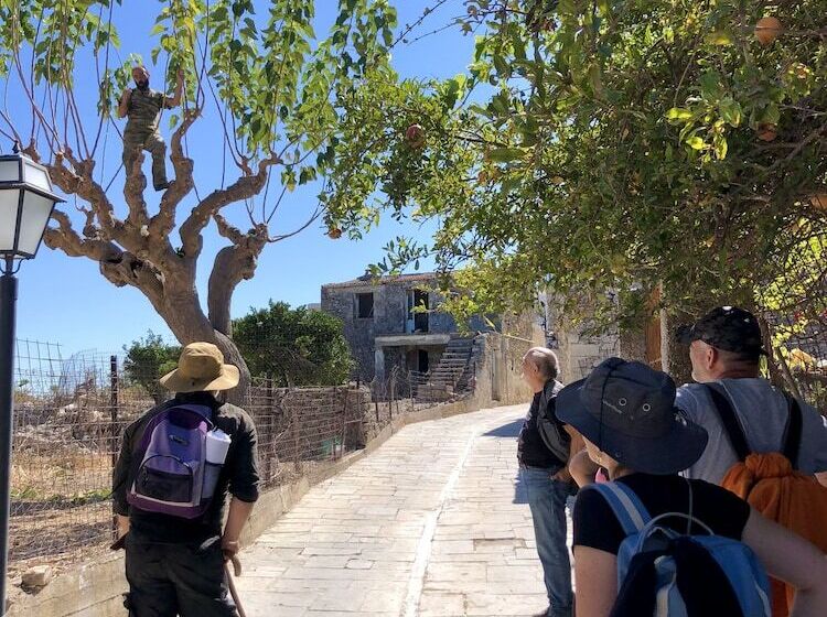 Mourtzanakis Residence   Traditional Eco Hotel In Achlada